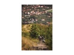 ABUS Casque VTT MoDrop Polar White -BMC Soldes Boutique abus casque vtt modrop polar white 12