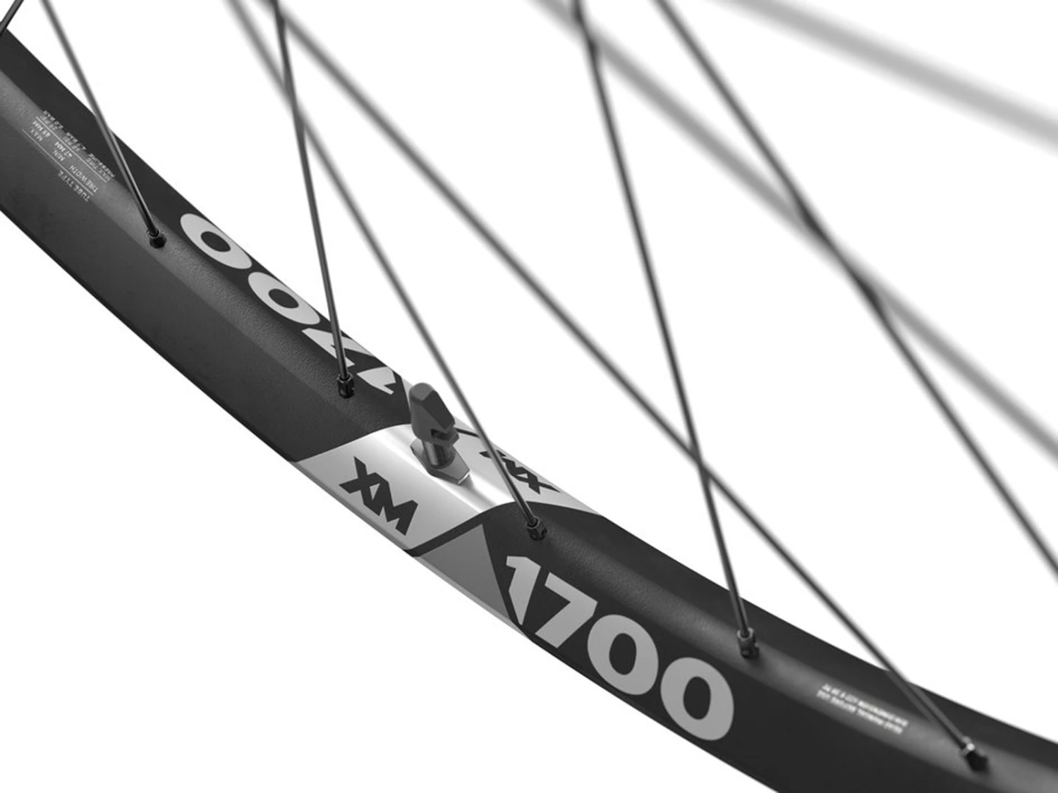 Dt-swiss DT Swiss Roues XM 1700 SPLINE 30 Disques CenterLock 29" 2 Dt-swiss DT Swiss Roues XM 1700 SPLINE 30 Disques CenterLock 29" – Image 2