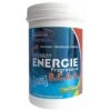 FENIOUX Multisports Boisson énergie Progressive BCAA Citron Vert - 600g
