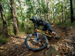 ROCKSHOX Fourche Zeb Ultimate Charger 2.1 RC2 29'' Boost 15x110 Déport 44mm 190mm Noir -BMC Soldes Boutique rockshox fourche zeb ultimate charger 21 rc2 29 boost 15x110 deport 44mm 190mm noir 4